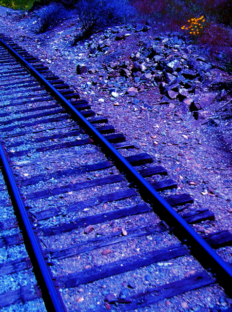 SA704855.JPG