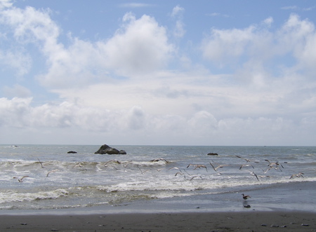 SA703579.JPG