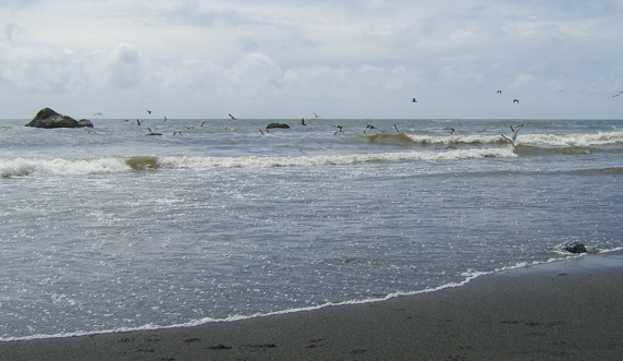 SA703581.JPG