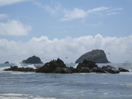 SA703582.JPG
