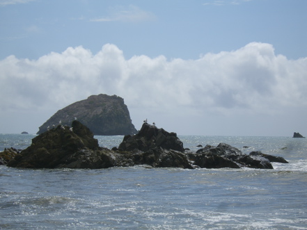 SA703586.JPG