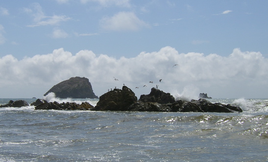 SA703588.JPG