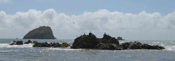 SA703589.JPG