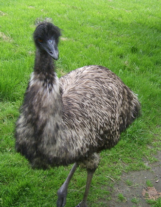 SA703602.JPG