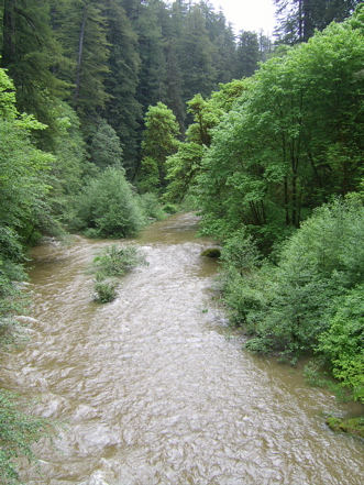 SA703517.JPG