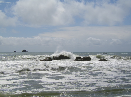 SA703563.JPG