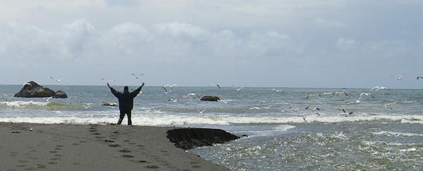 SA703574.JPG copy