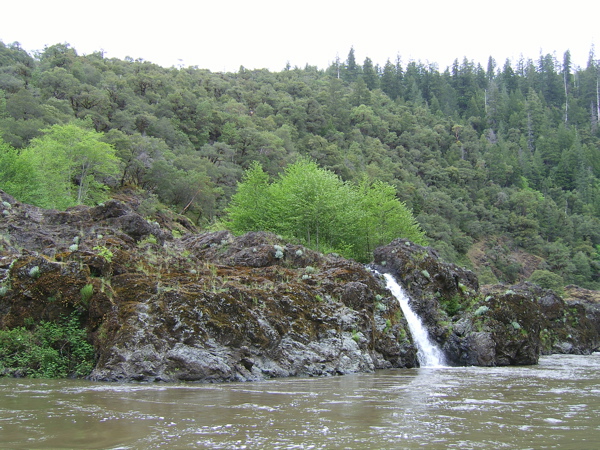 SA703348.JPG