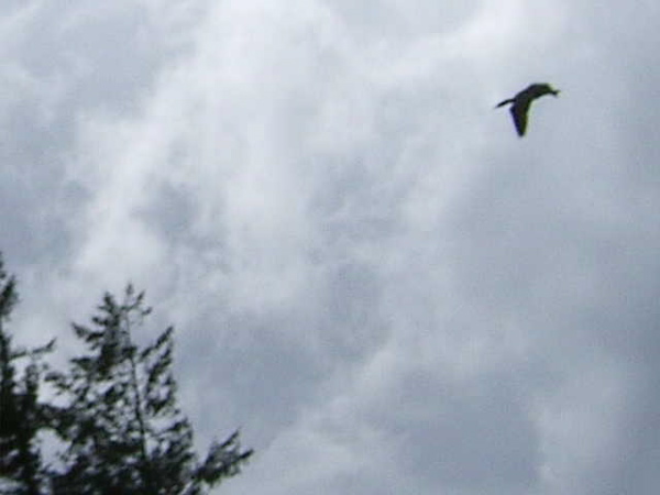 SA703374.JPG