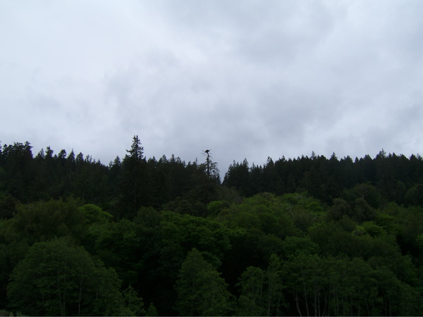 SA703378.JPG