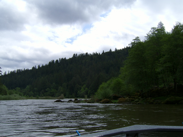 SA703270.JPG