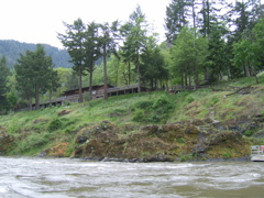 SA703344.JPG