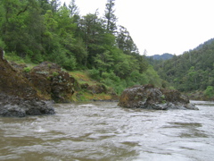 SA703345.JPG