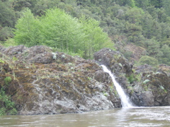 SA703347.JPG