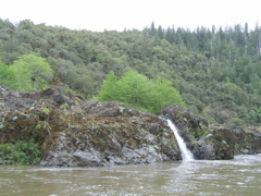 SA703348.JPG