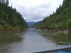 SA703355.JPG