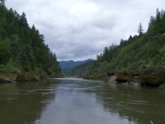 SA703356.JPG