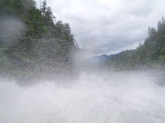 SA703358.JPG