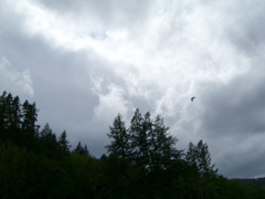 SA703373.JPG