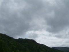 SA703383.JPG