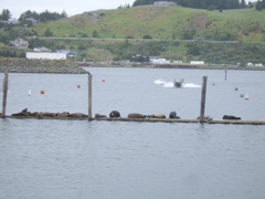 SA703388.JPG