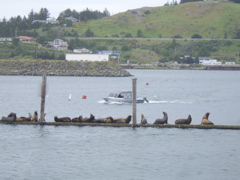 SA703390.JPG