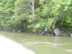 SA703228.JPG