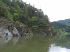SA703229.JPG