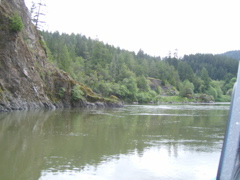 SA703231.JPG