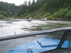 SA703242.JPG