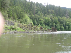 SA703244.JPG