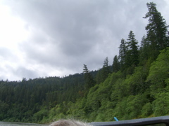 SA703245.JPG