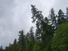 SA703247.JPG