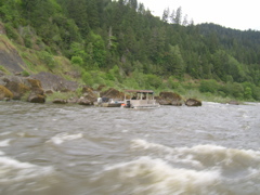 SA703264.JPG