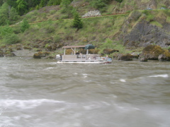 SA703265.JPG