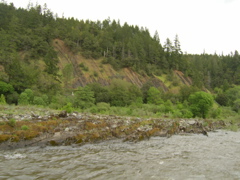SA703266.JPG