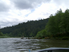 SA703270.JPG