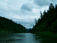 SA703275.JPG