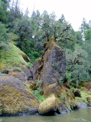 SA703281.JPG