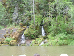 SA703284.JPG