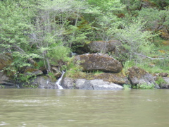 SA703286.JPG