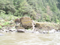 SA703302.JPG