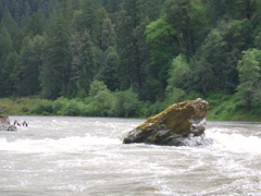 SA703309.JPG