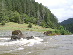 SA703311.JPG