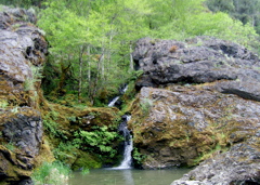 SA703332.JPG