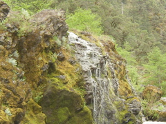 SA703337.JPG
