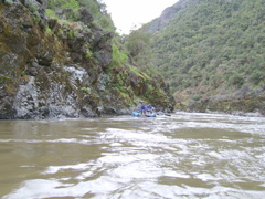 SA703338.JPG