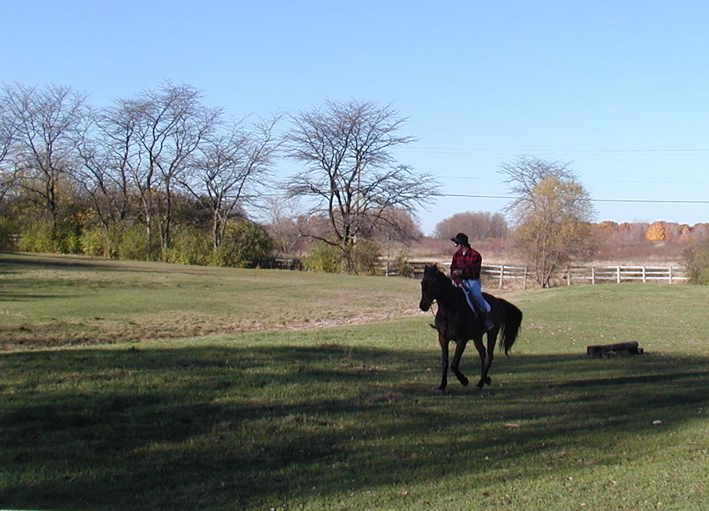 PA240902.JPG