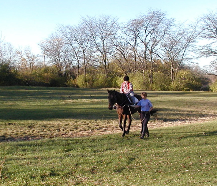 PA240949.JPG