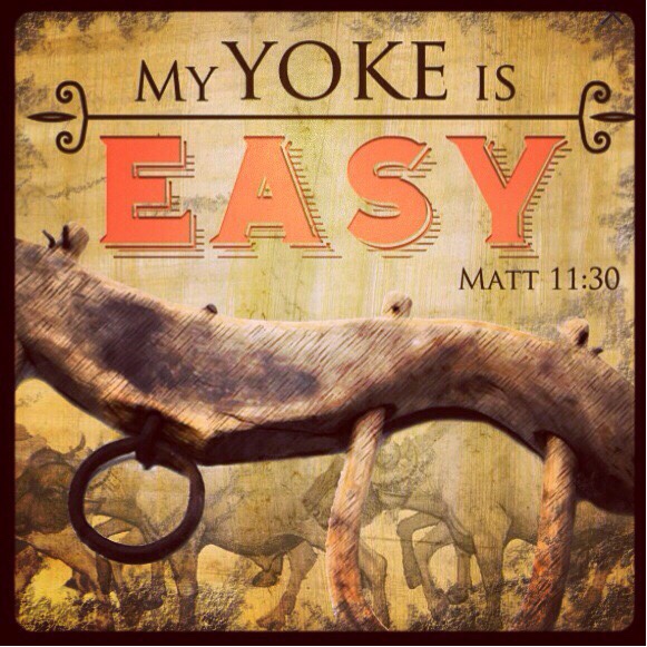 His Kidmin Yoke is Easy